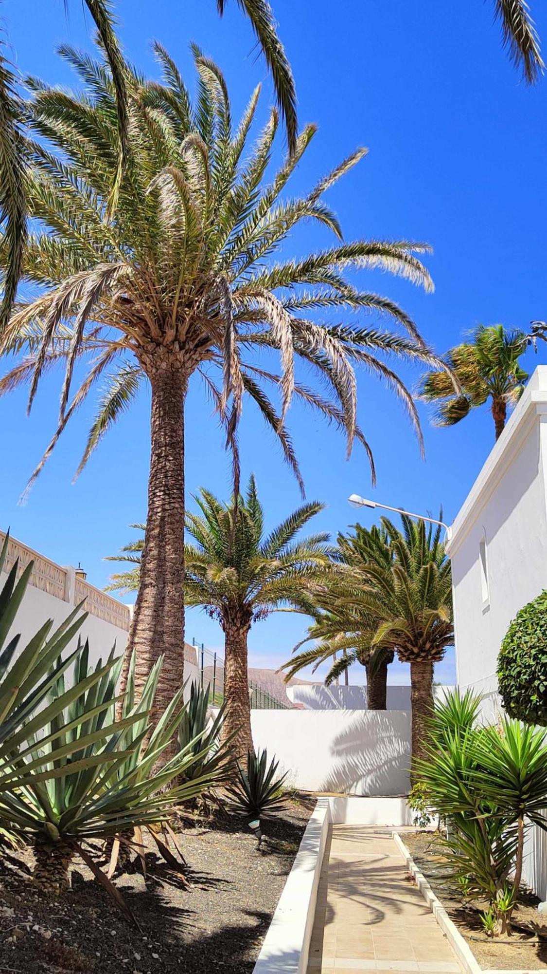 Momis House Corralejo Dunas By Momifuerteventura * Corralejo